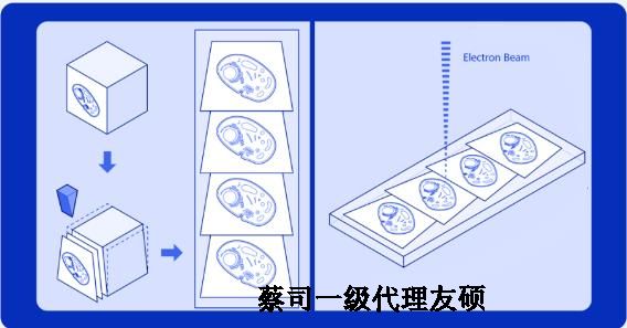 深圳蔡司深圳扫描电镜