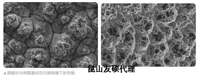 深圳蔡司深圳扫描电镜